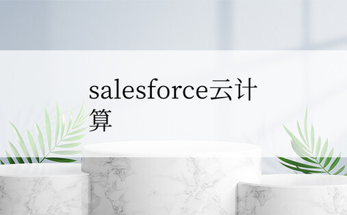 salesforce云计算