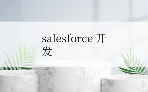 salesforce 开发