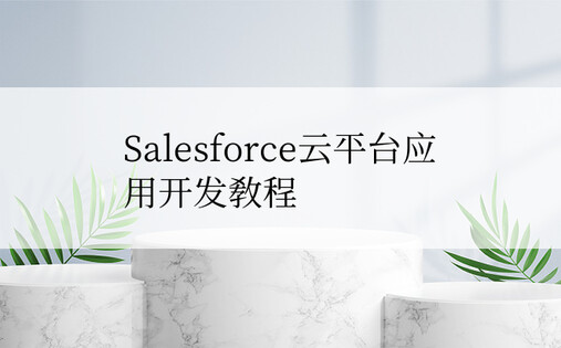 Salesforce云平台应用开发教程