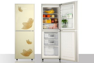 冰箱节能品牌排行
